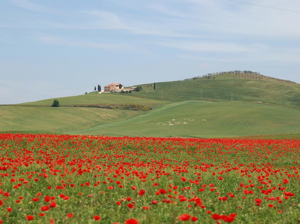 Agriturismo Poggio Tobruk Pienza Exterior photo